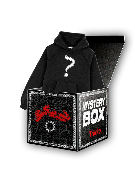 MYSTERY HOODIE
